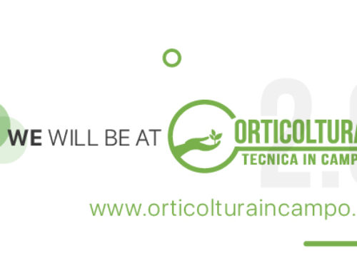 ORTICOLTURA Tecnica in campo