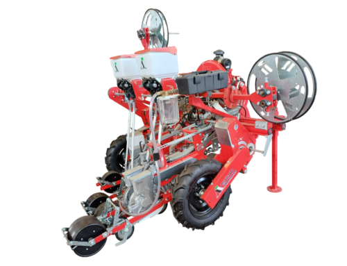 Stendimanichetta AI
